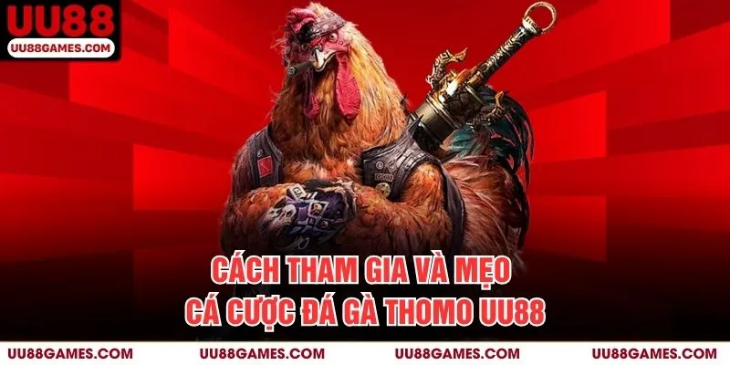 Cách tham gia và mẹo cá cược Đá gà thomo UU88