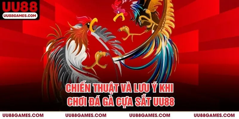 Chiến thuật và lưu ý khi chơi đá gà cựa sắt UU88