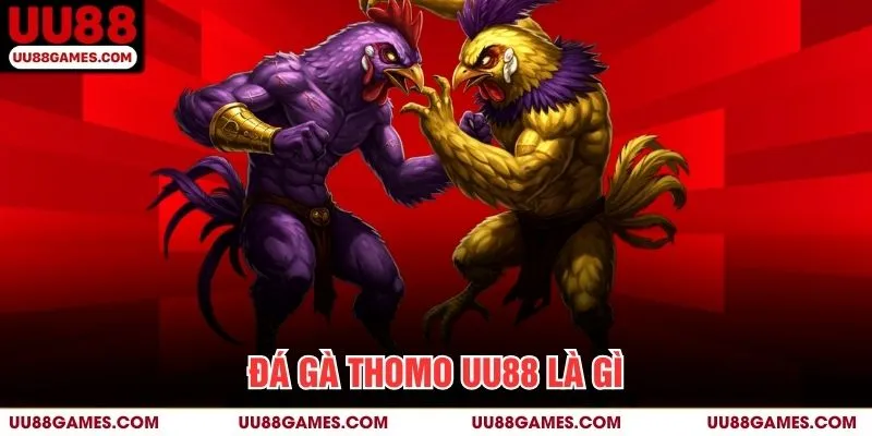 Đá gà thomo UU88 là gì?